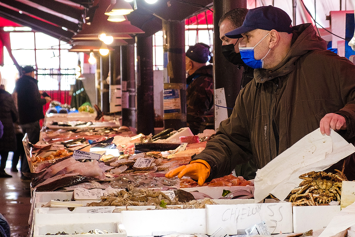Fischmarkt von Chioggia
